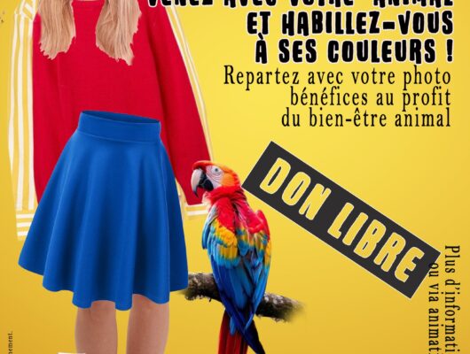 Thumbnail for the post titled: Séances photos aux couleurs de votre animal