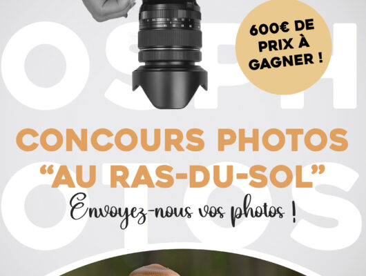 Thumbnail for the post titled: Concours photos