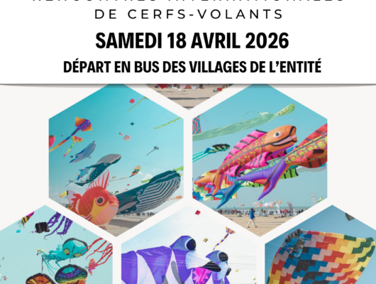 Thumbnail for the post titled: Excursion à la rencontre internationale de cerfs-volants de Berck-sur-Mer