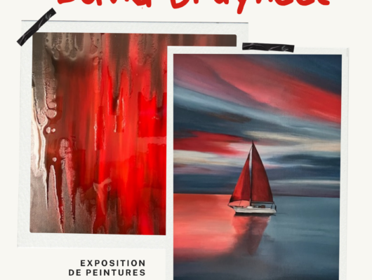 Thumbnail for the post titled: Exposition de David Bruyneel