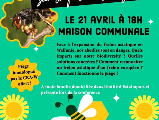 Thumbnail for the post titled: Conférence sur le frelon asiatique